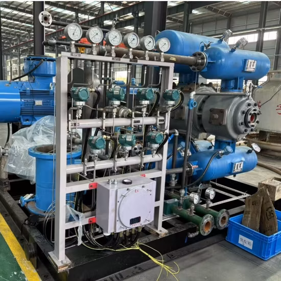 CNG Dispenser Vane Pump Gas Meter Container Tank Nozzles Pumps Flow Meter Breakaway Pressure Tank CNG Pump LNG Dispenser LPG Pump