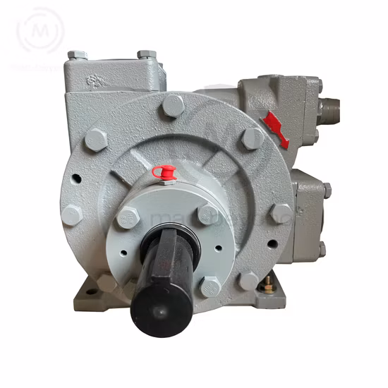 LPG Petroleum Gas Transfer Pump (liquefied petroleum gas pump)